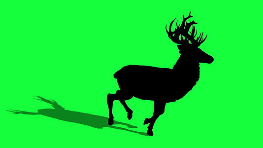 绿色屏幕上的鹿的3D动画轮廓视频的预览图