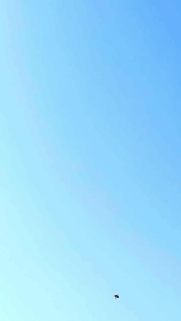 风筝在蓝天下飞翔视频的预览图