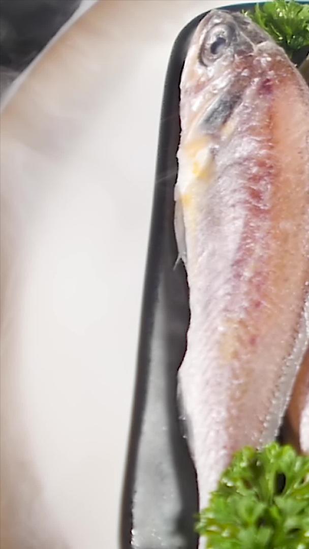 舟山海捕捉小黄鱼视频的预览图