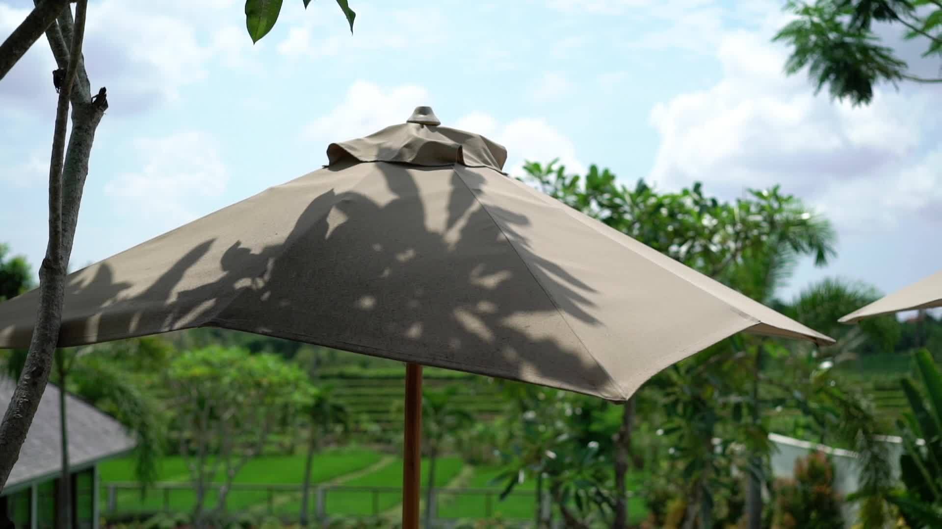 豪华别墅的雨伞视频的预览图