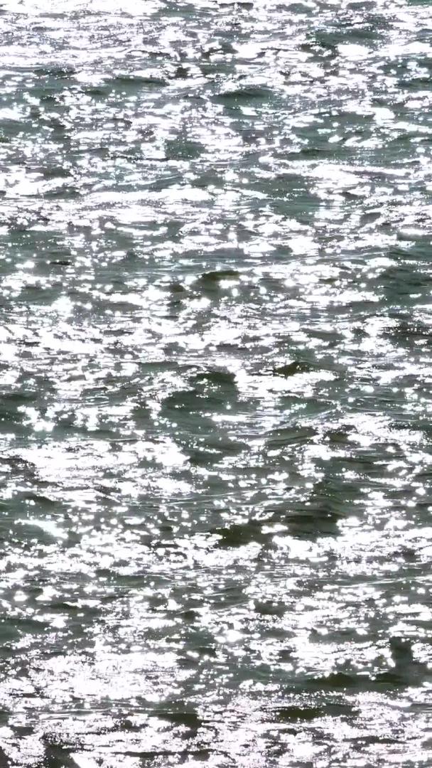 波光粼粼的水面视频的预览图