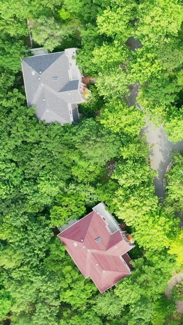 别墅酒店航拍森林中的别墅视频的预览图