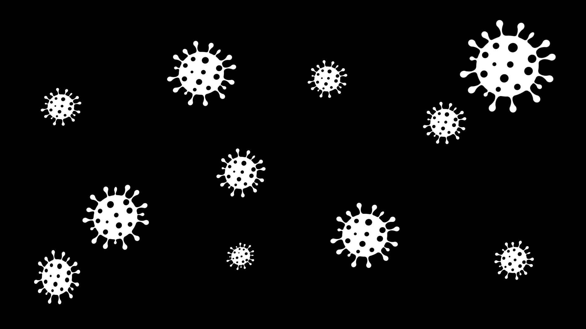 细菌视频的预览图