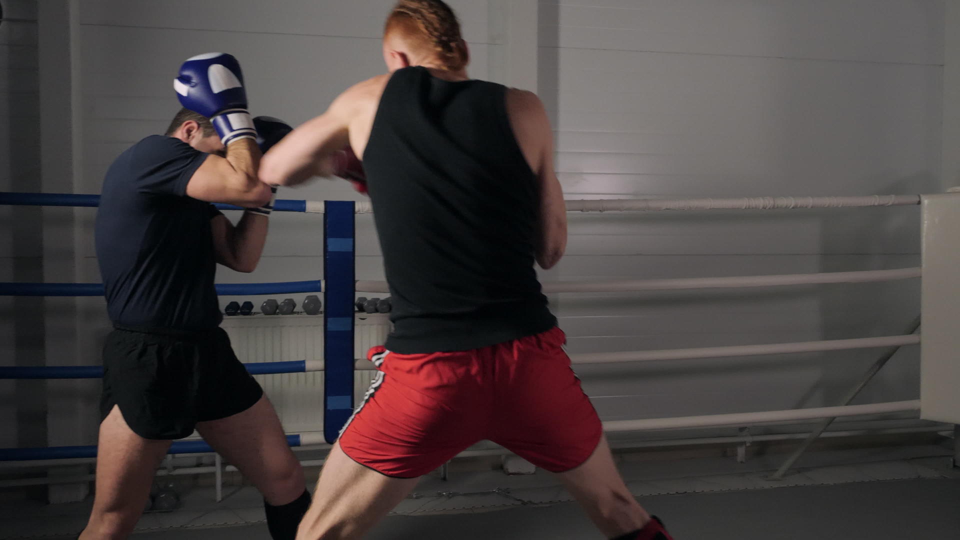 体育运动员在拳击场打架视频的预览图