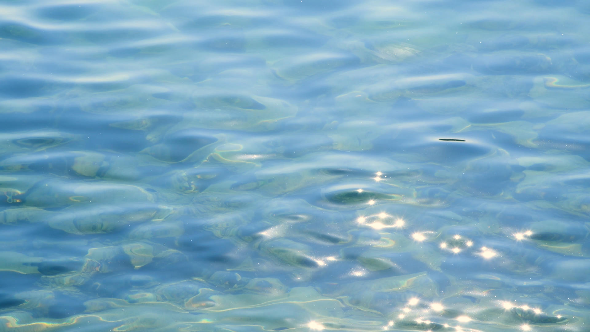 波光粼粼的水面4K视频的预览图