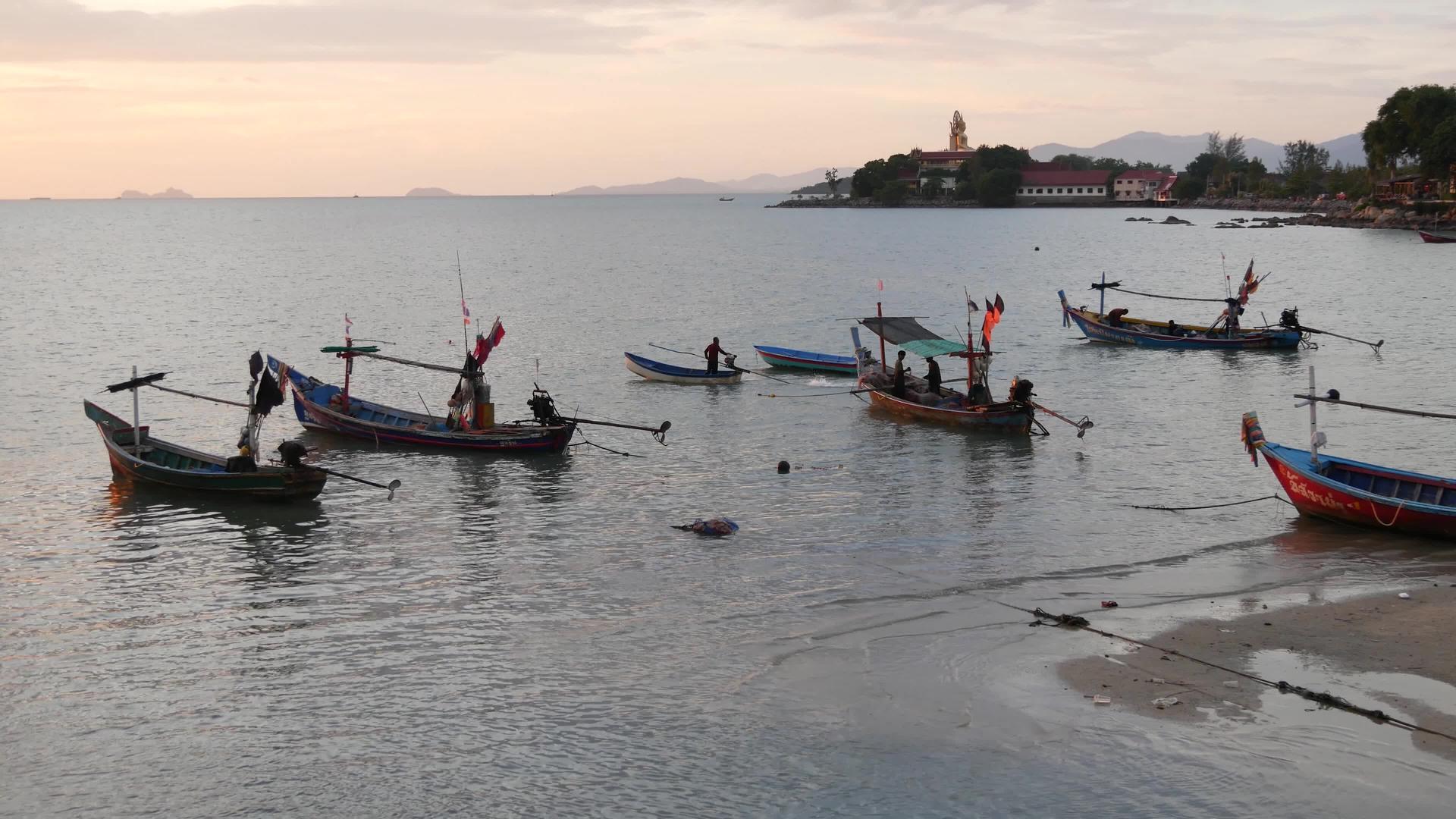 泰国苏梅天堂热带异国情调的海滨岛屿视频的预览图