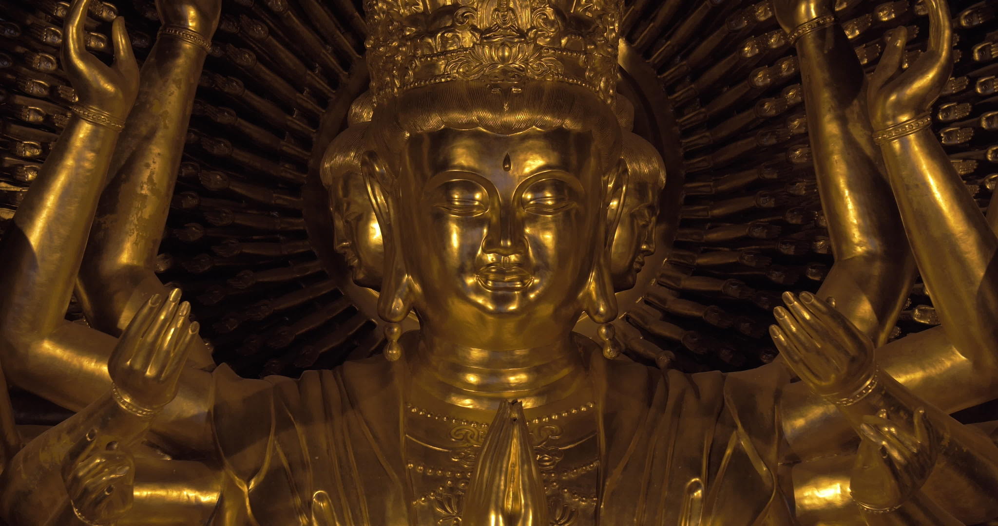 面朝佛拜丁寺佛像视频的预览图