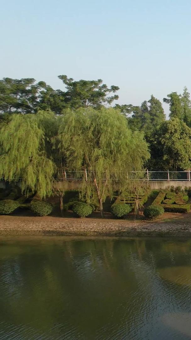 5A安徽阜阳八里河旅游区鸟语林航拍视频视频的预览图
