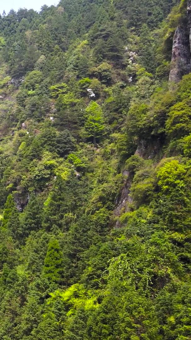 云中大瀑布航拍浙江南部淞族山区视频的预览图