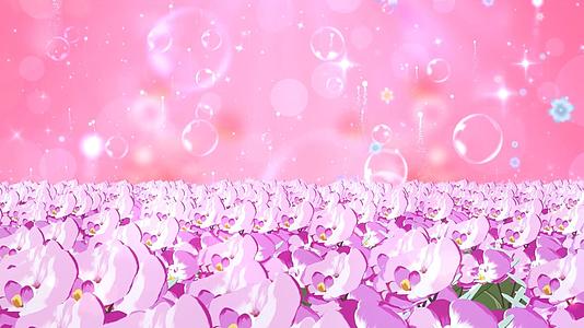 清新唯美粉色花海动态温馨粒子花朵上升舞台背景视频视频的预览图