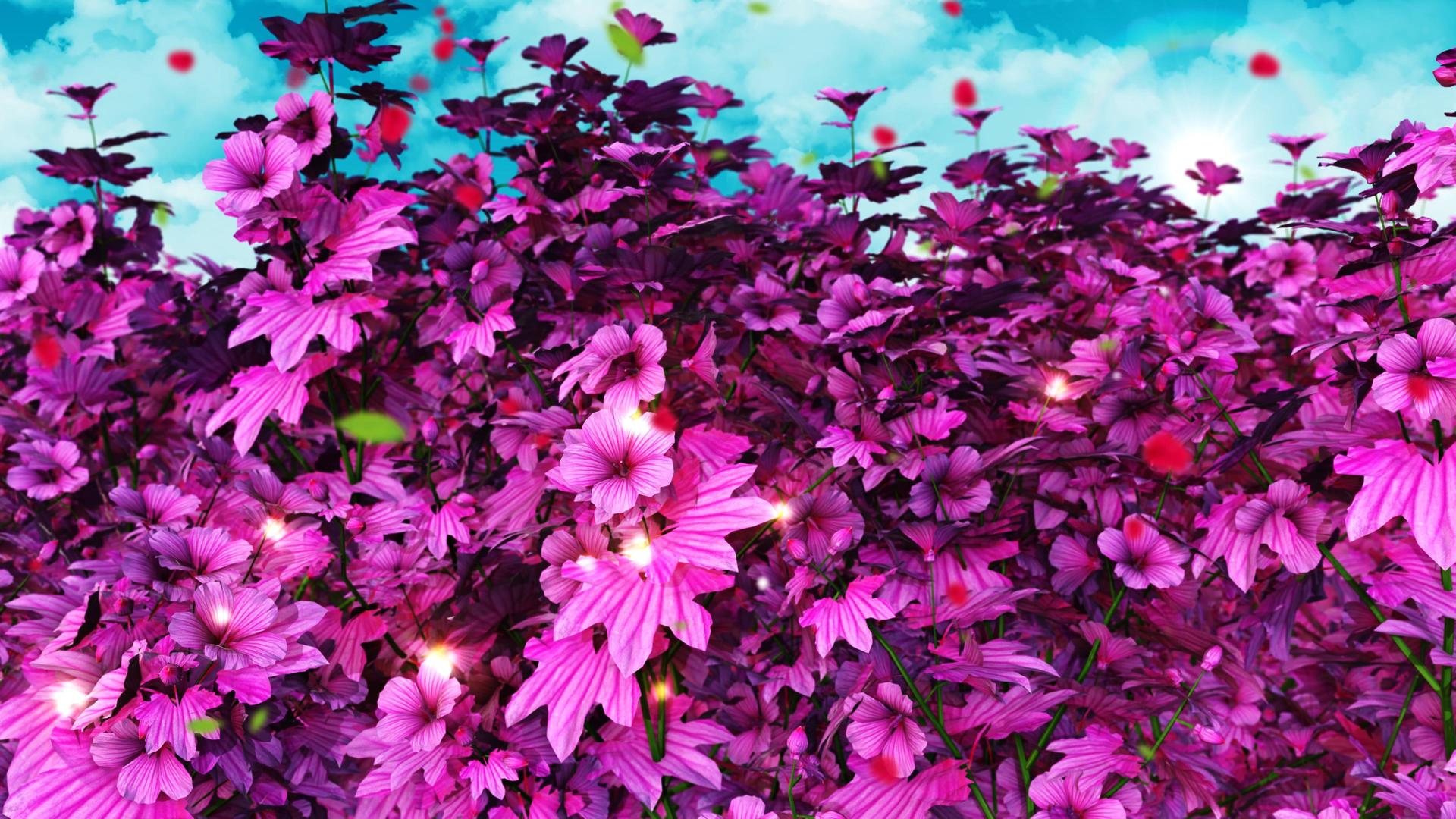 4K唯美的紫罗兰花海背景视频的预览图