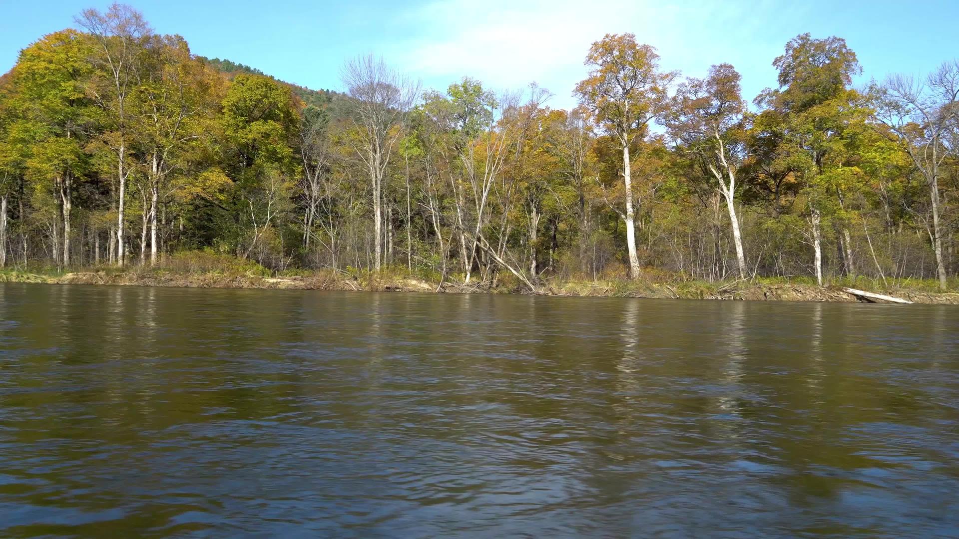 乌苏卡河和木林山丘视频的预览图