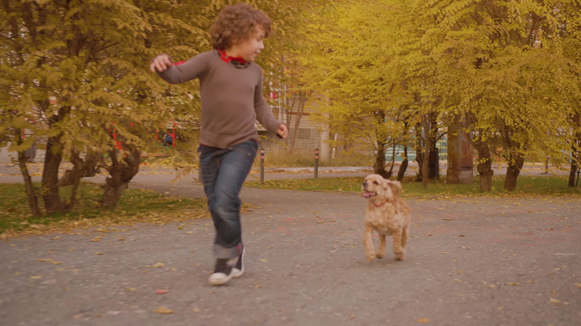 顽皮的孩子在秋天的街道上和狗一起奔跑视频的预览图
