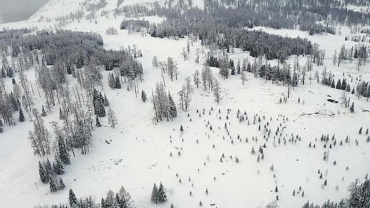 4K航拍新疆冬季原始森林雪景视频的预览图