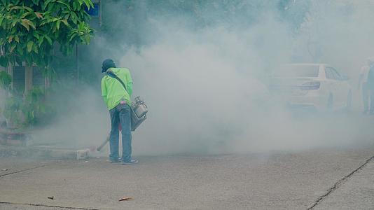 公共卫生工作者在社区地点喷洒埃及蚊子以防止登革热视频的预览图