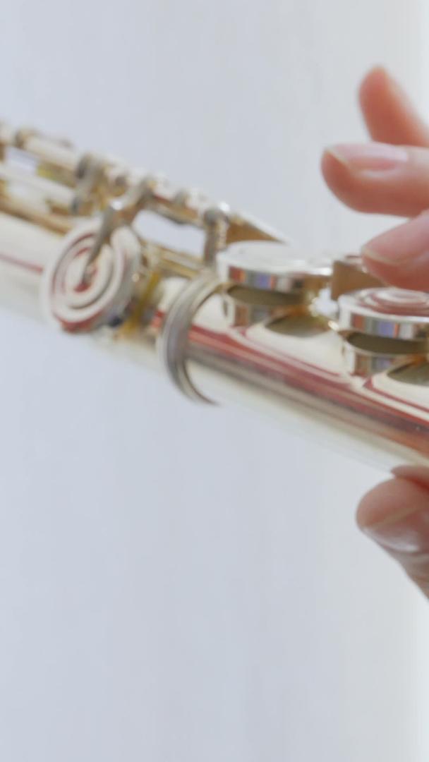 西洋长笛指法技巧视频的预览图