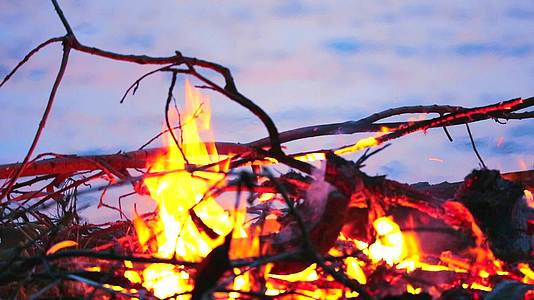 燃烧木材视频的预览图
