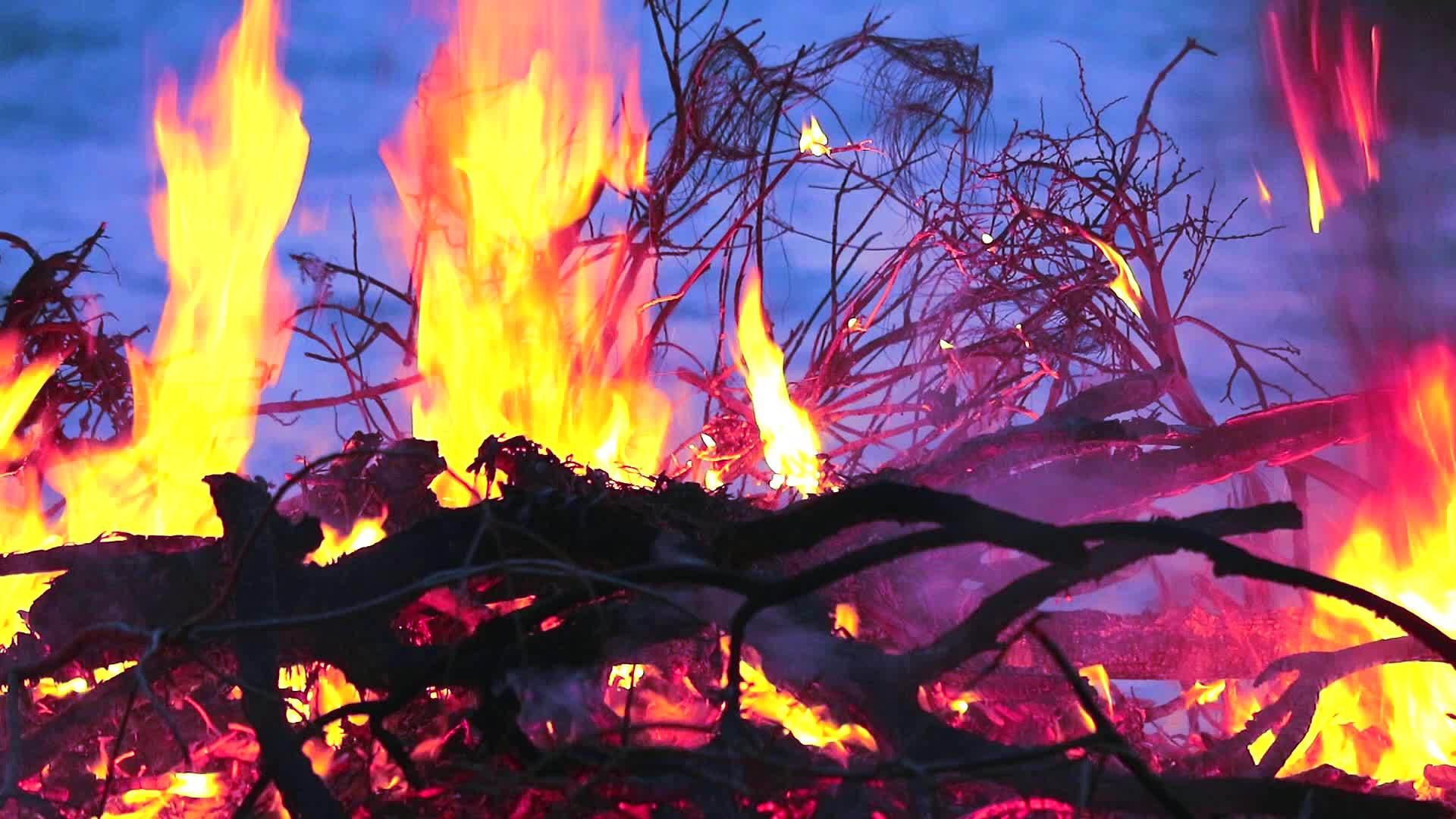 燃烧木材的污染更大视频的预览图