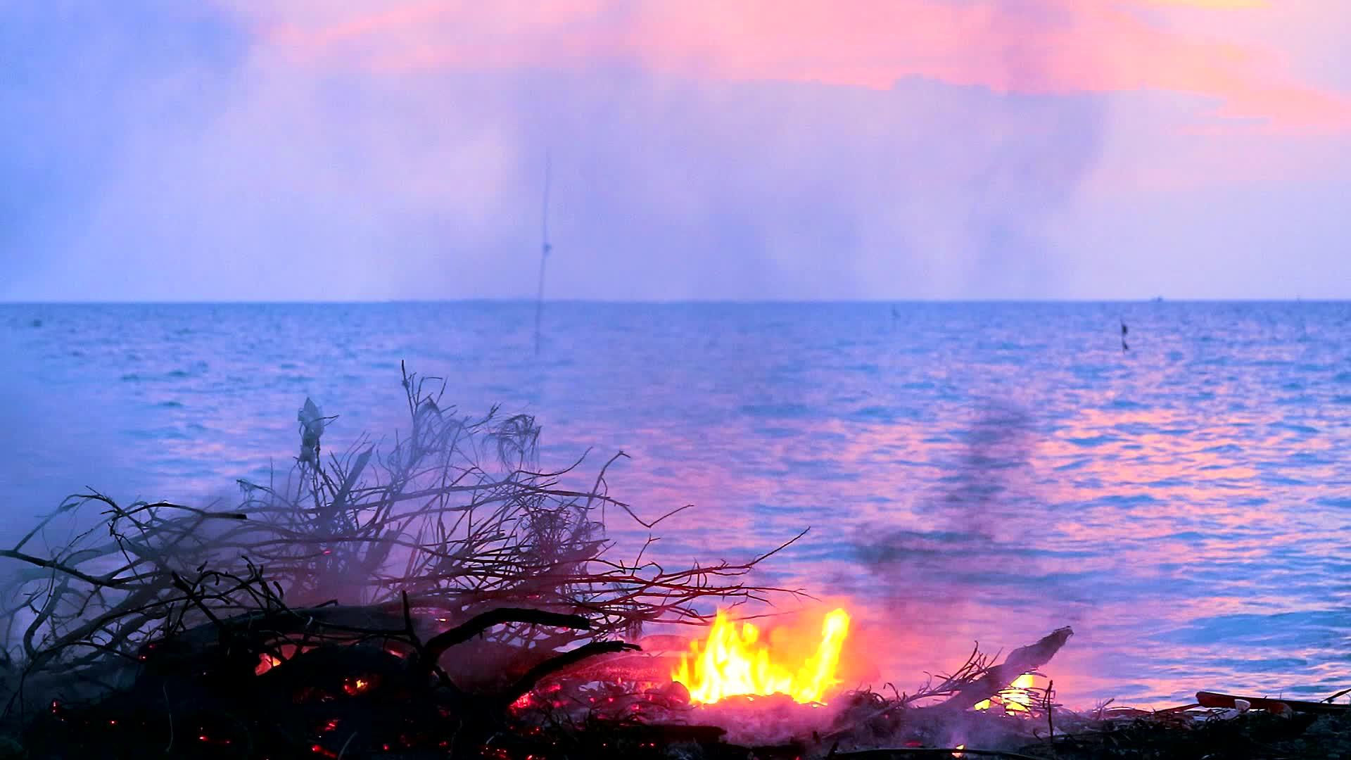 海洋附近的柴火和垃圾污染了海洋生物视频的预览图