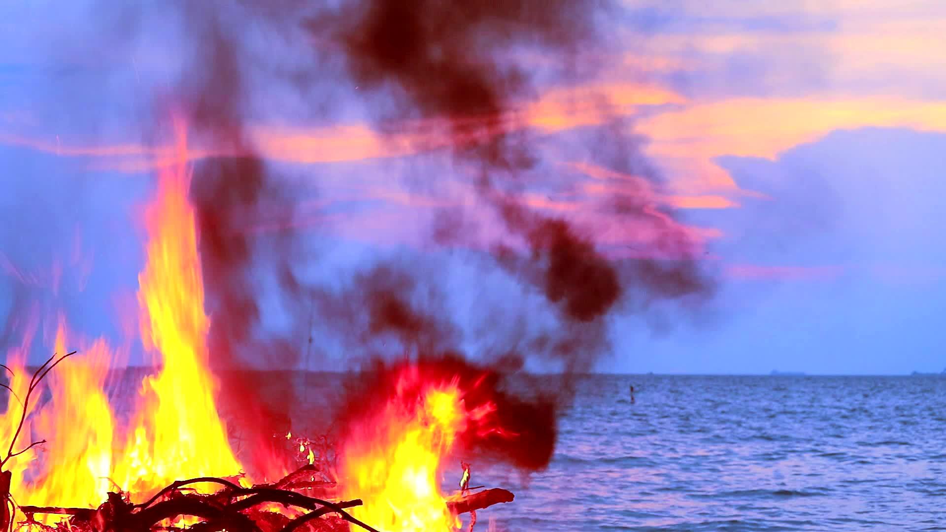 海洋附近的柴火和垃圾污染了海洋生物视频的预览图