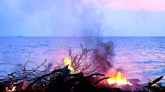在海边燃烧木材和垃圾会污染环境和海洋生物视频的预览图