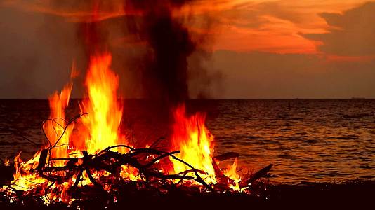 在海边燃烧木材和垃圾会污染海洋生物和环境视频的预览图