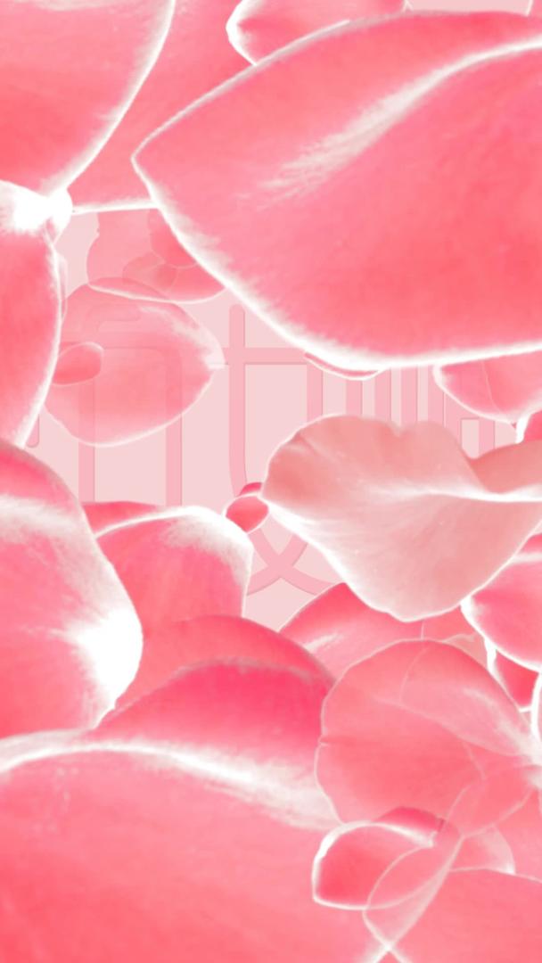 38女神节粉色玫瑰背景视频的预览图