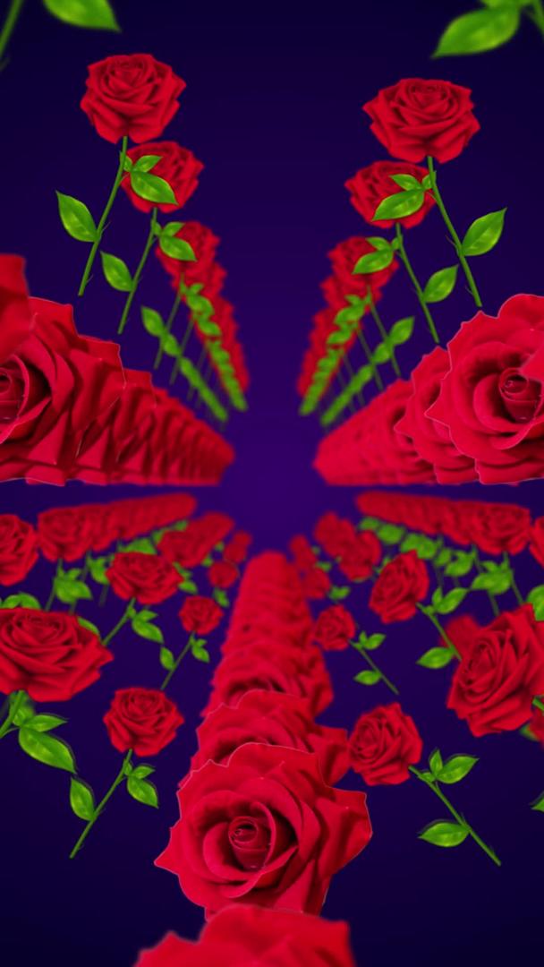 玫瑰花瓣舞台背景视频的预览图