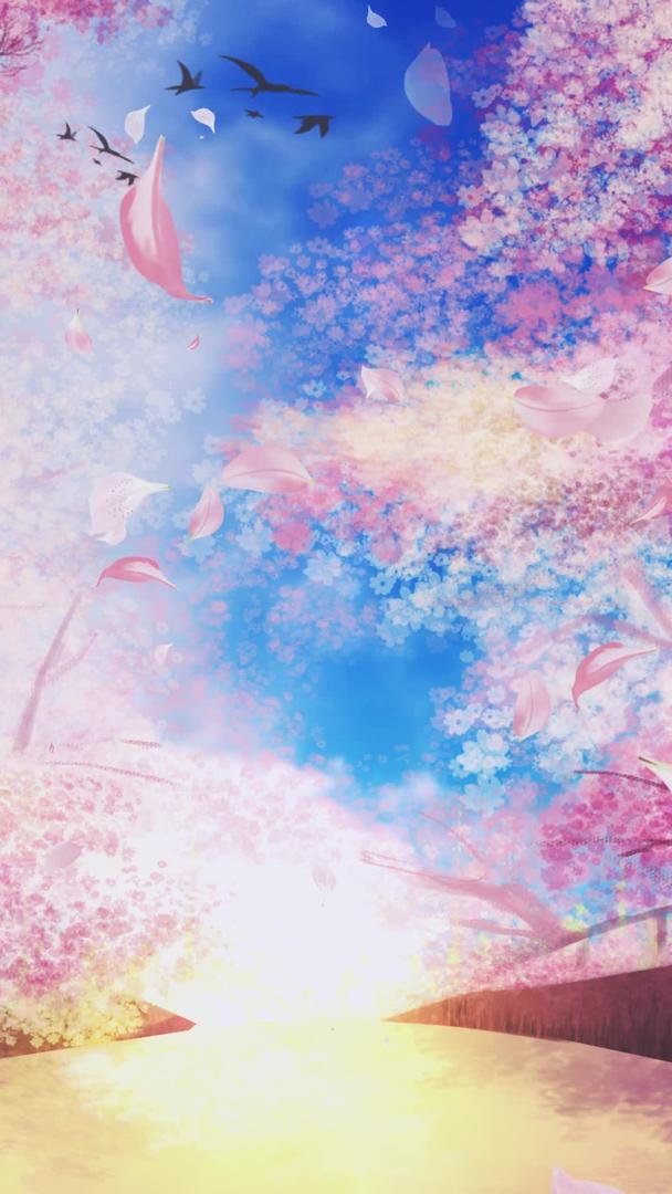 粉色动态樱花林樱花飘落背景视频视频的预览图
