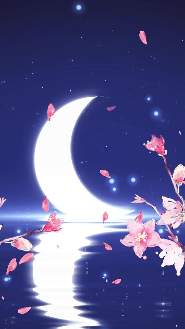 月夜桃花飘动背景视频视频的预览图