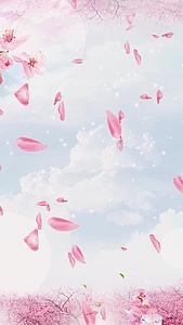 粉色唯美桃花雨背景视频视频的预览图