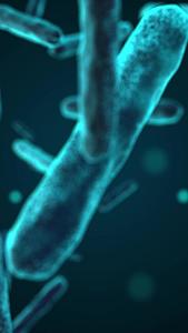 细菌细胞病毒视频的预览图