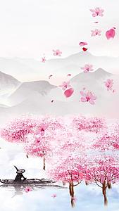 樱花唯美背景视频的预览图