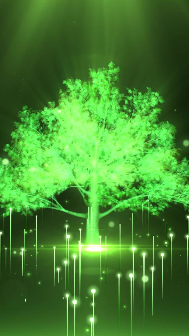 绿色树粒子上升光效背景视频视频的预览图