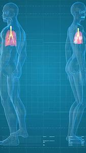 科技三维男女肺部分析展示视频的预览图