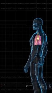 三维科技展示人体肺功能视频的预览图