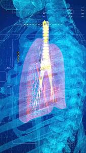 超强三维科技人体肺部视频视频的预览图