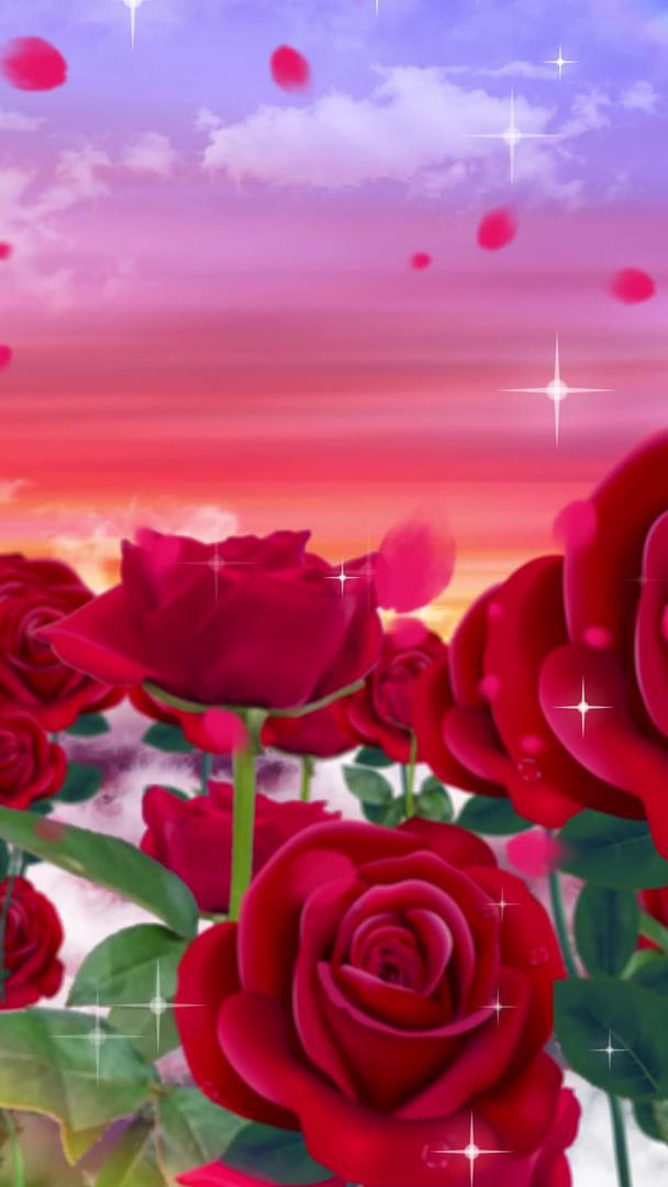 玫瑰花穿梭背景素材视频的预览图