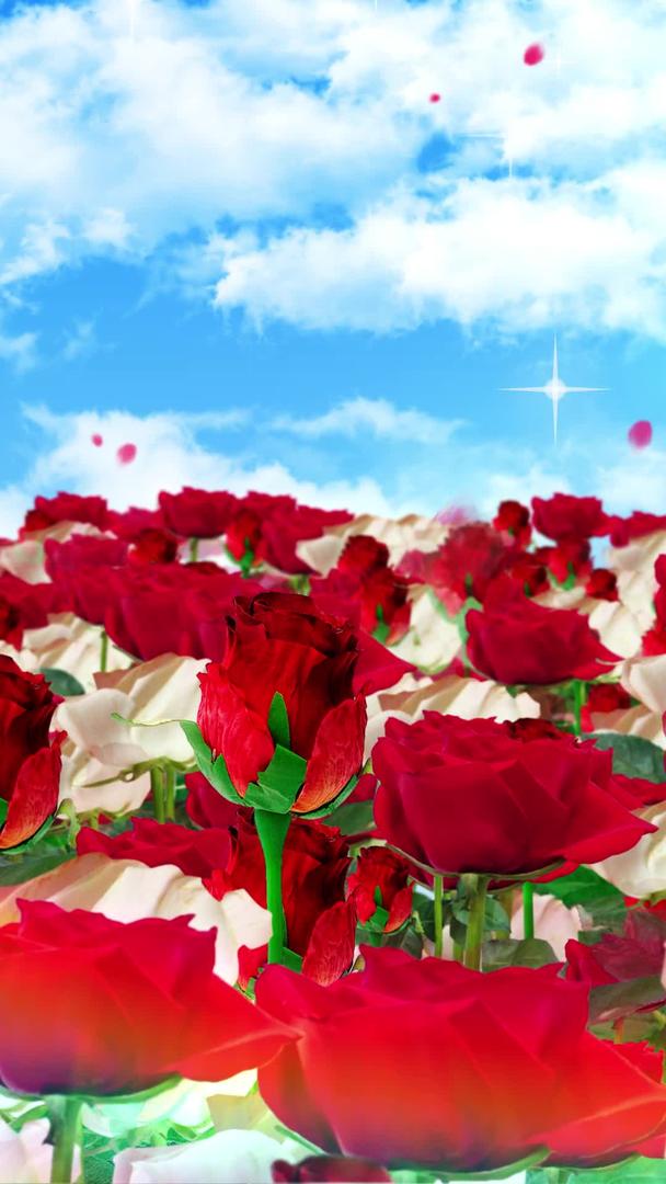 三维玫瑰花穿梭素材视频的预览图