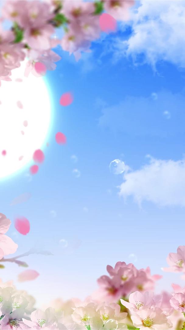 唯美樱花背景素材视频的预览图