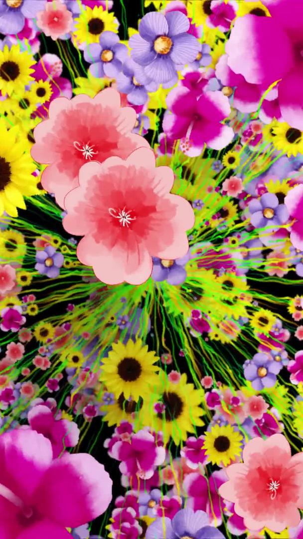 唯美的鲜花背景视频的预览图
