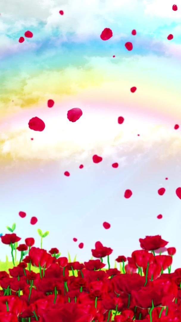 玫瑰花生长背景素材视频的预览图