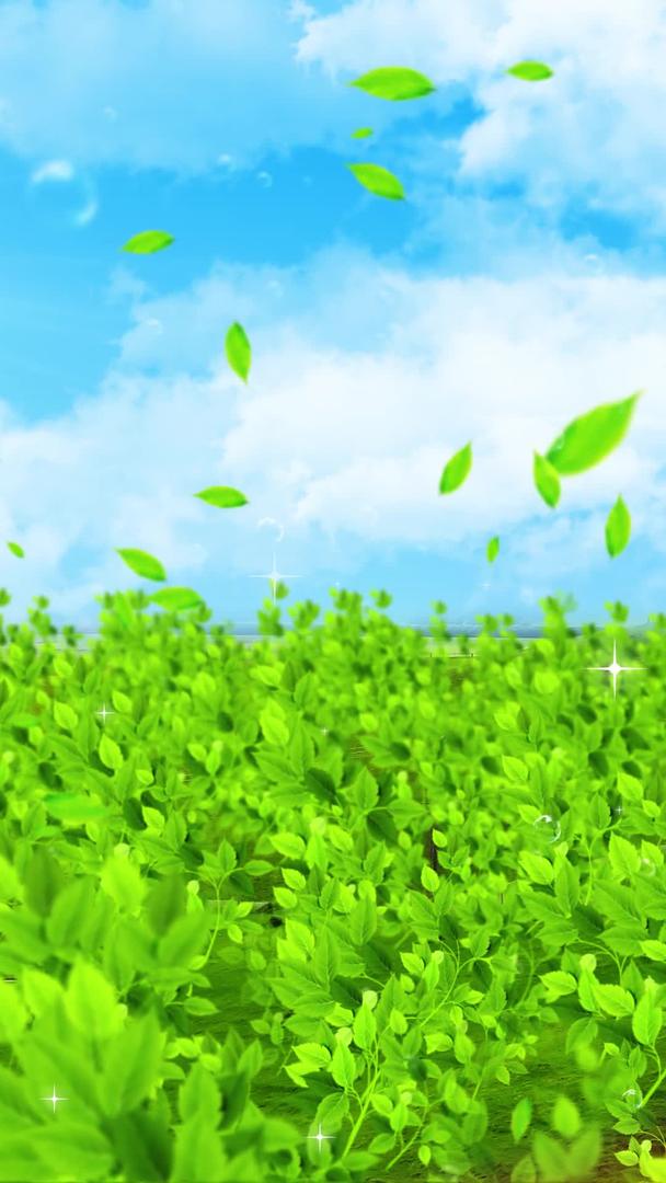 春天绿色植物背景素材视频的预览图