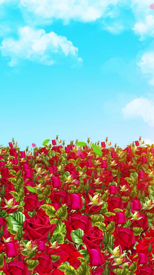 唯美浪漫的玫瑰花背景素材视频的预览图