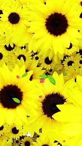 唯美的太阳花背景素材视频的预览图