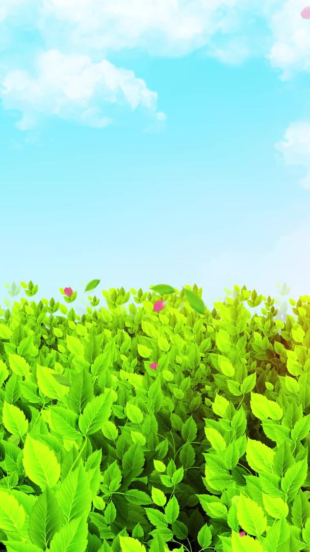 绿色植物穿梭背景素材视频的预览图