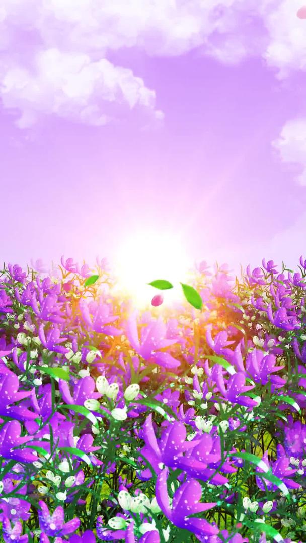 唯美的紫色花海背景素材视频的预览图