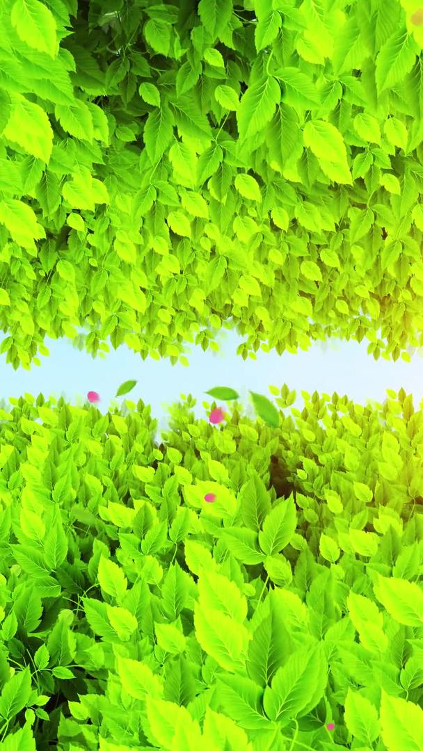 清新唯美的绿色树叶背景素材视频的预览图