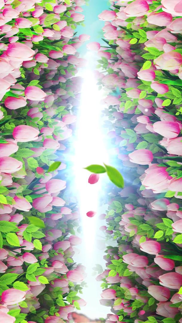 唯美的郁金香花墙背景素材视频的预览图