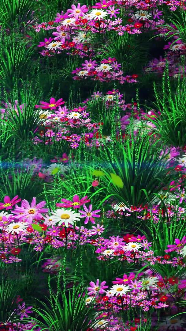 唯美的草丛小花背景素材视频的预览图
